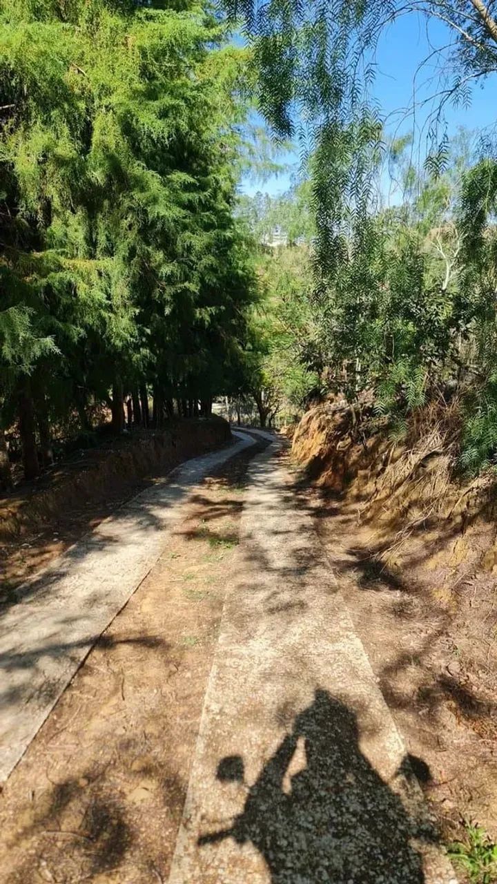 Alugar pasto - Foto 3