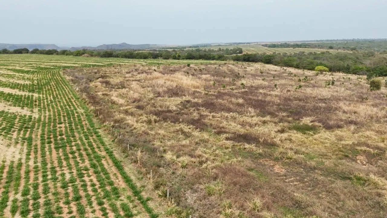 FAZENDA DE OPORTUNIDADE  - Foto 3