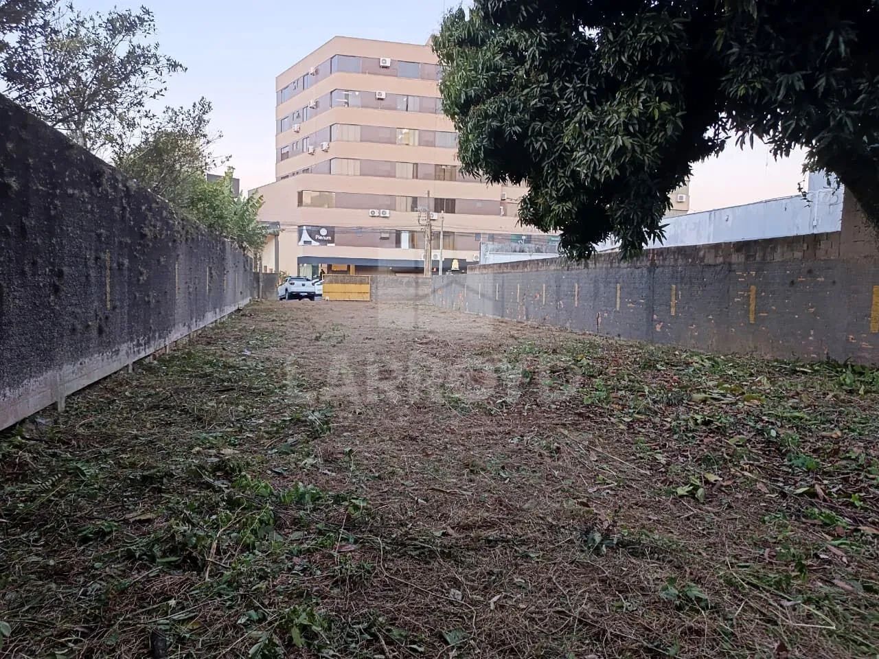Terreno para aluguel próximo Provida e Giassi - Foto 2