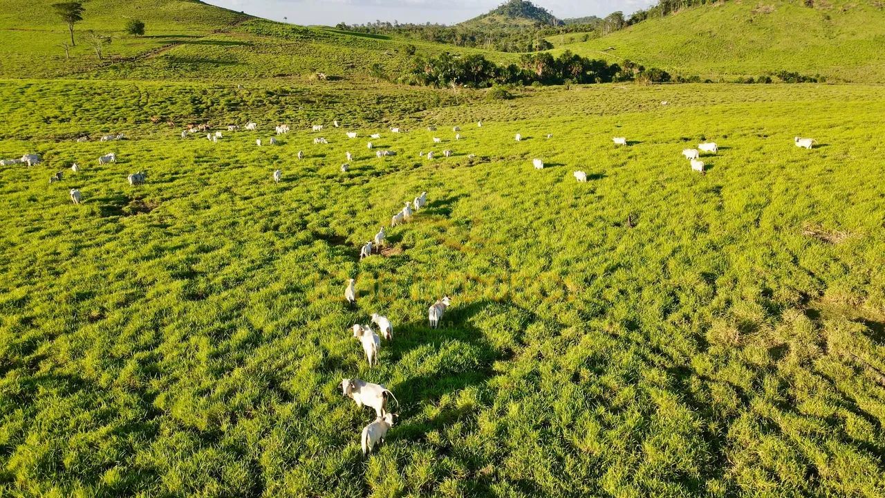 VENDE LINDA FAZENDA ESTRUTURADA EM RORAIMA  - Foto 3
