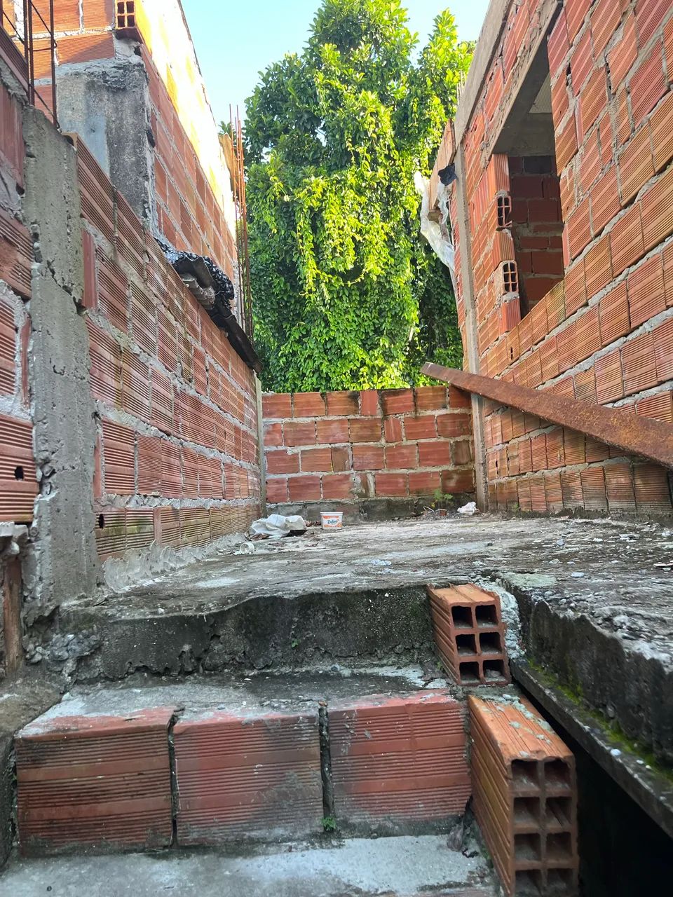 Foto - Salvador - Mata Escura