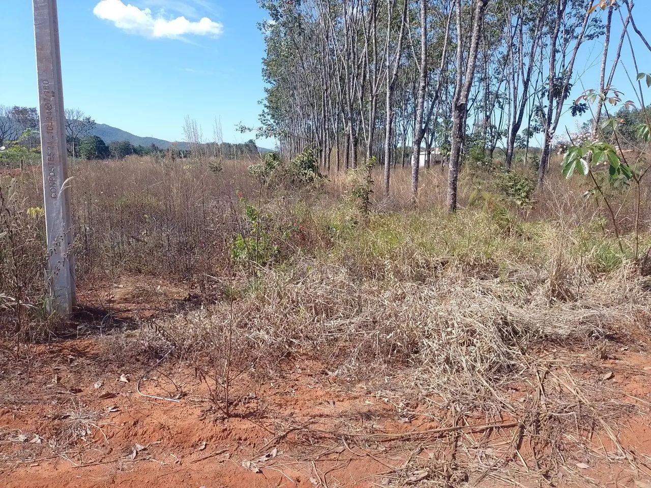 Lote  - Foto 5