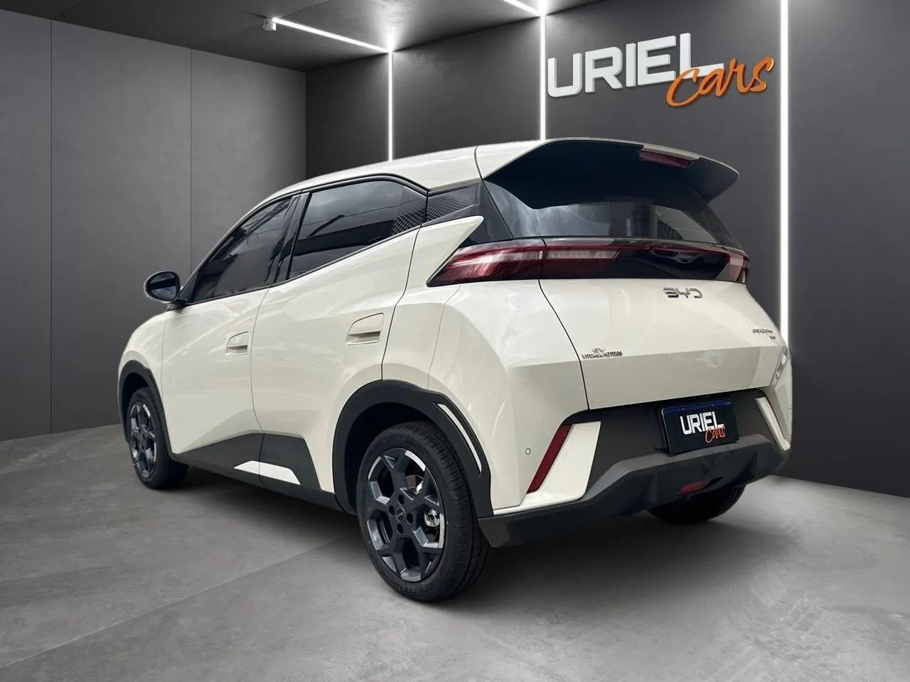 BYD Dolphin GS (Elétrico) 2026 - Foto 5