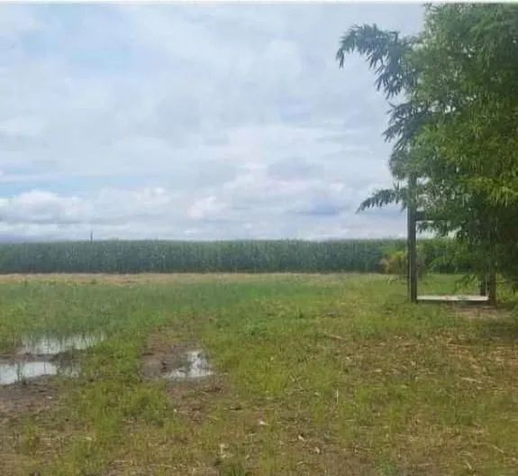 Vende-se Sítio no passarão  - Foto 2