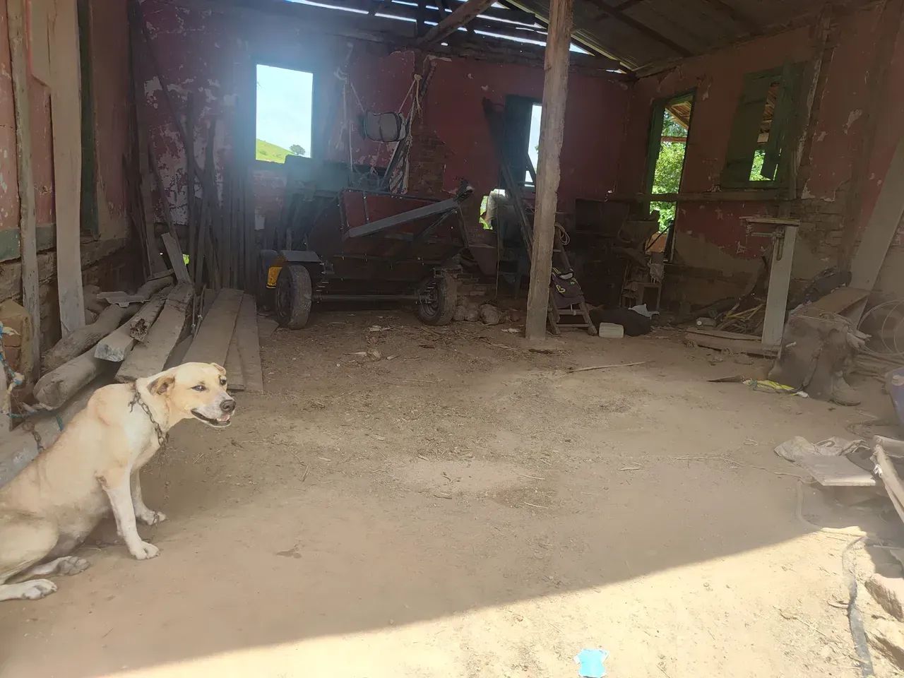 Oportunidade Única: Fazenda de Alta Produtividade agropecuária. - Foto 11