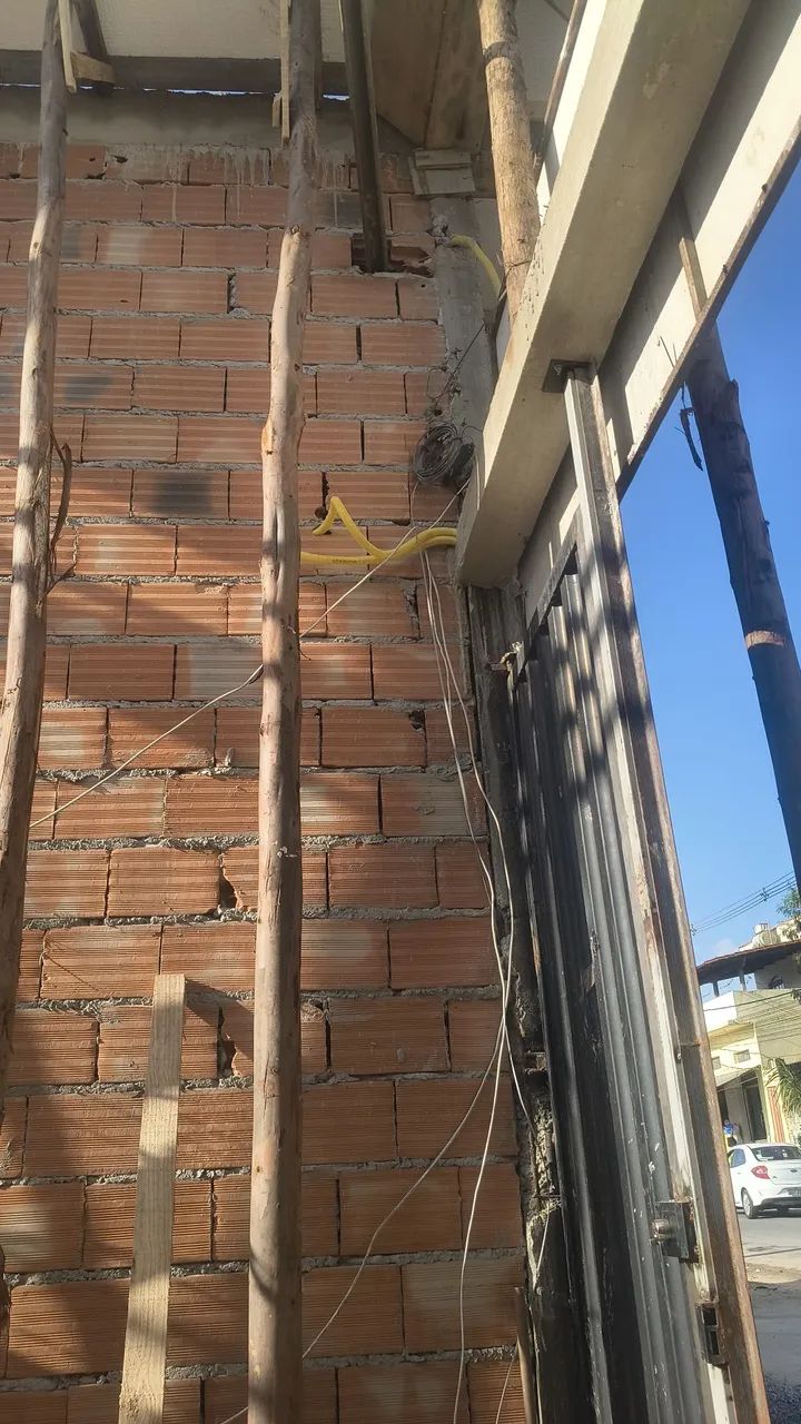 Escoras de eucalipto muito nova - Foto 3