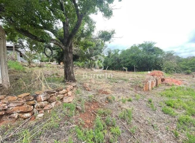 Terreno Cambé 5 mil m² - Foto 5