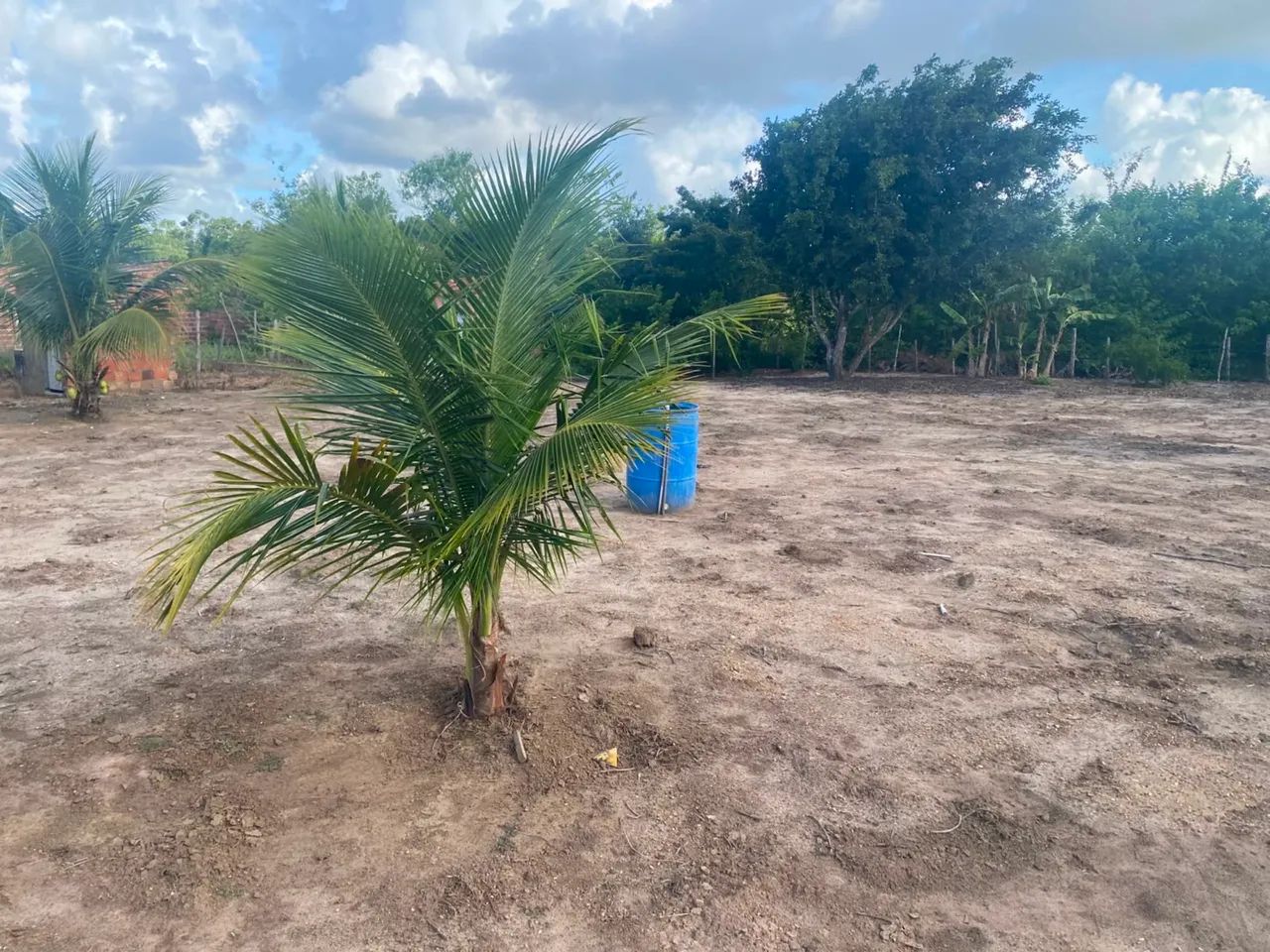 Terreno  - Foto 2