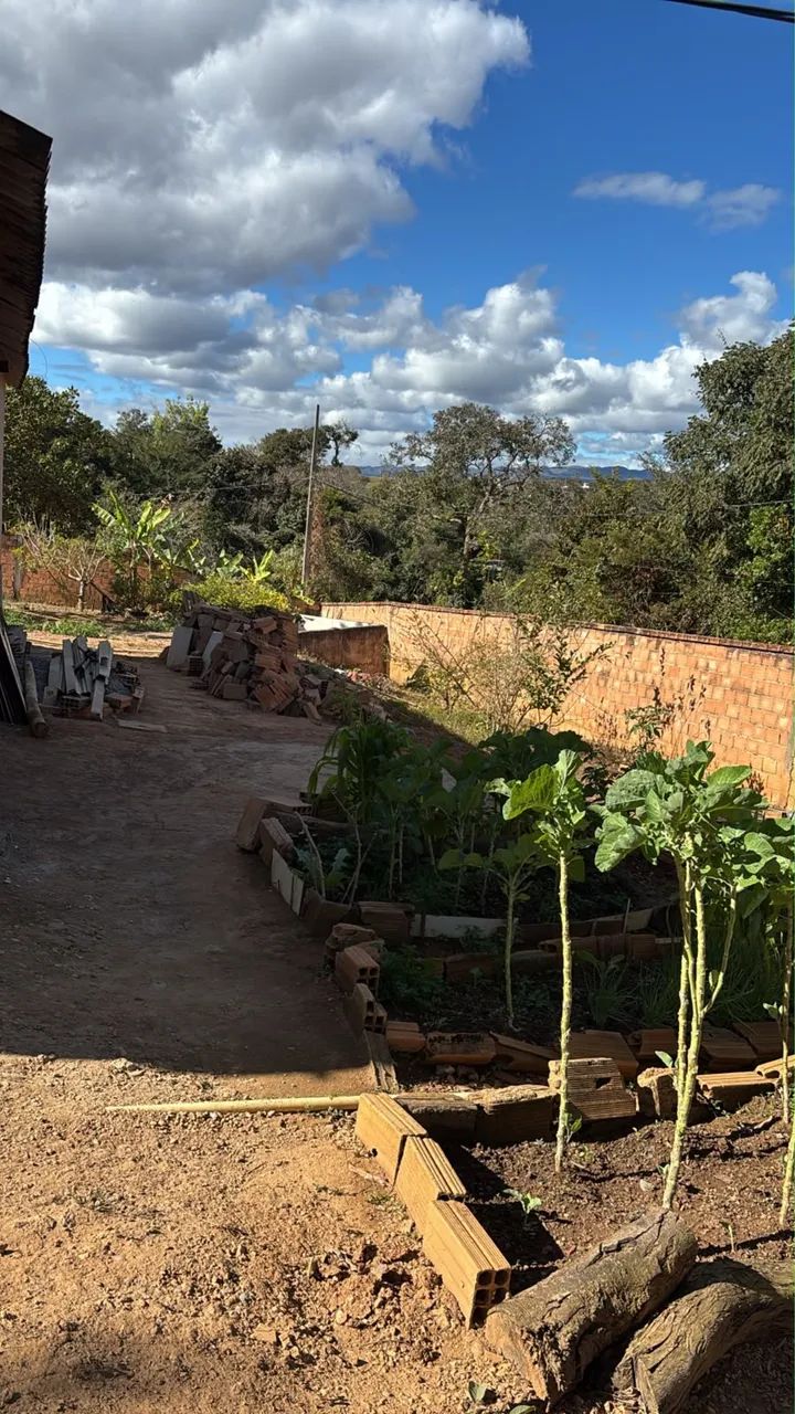Vende-se chácara com casa e pomar. - Foto 4