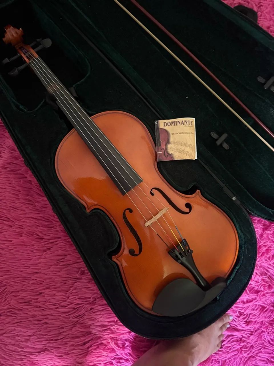 Viola clássica  - Foto 2