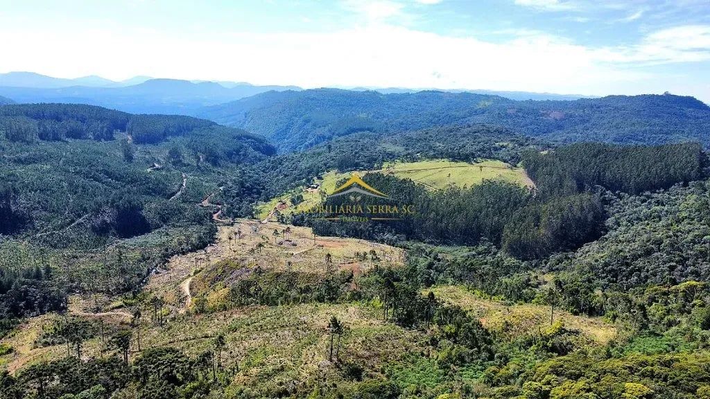 Terreno com 59,6 hectares em Rio Rufino - Foto 3