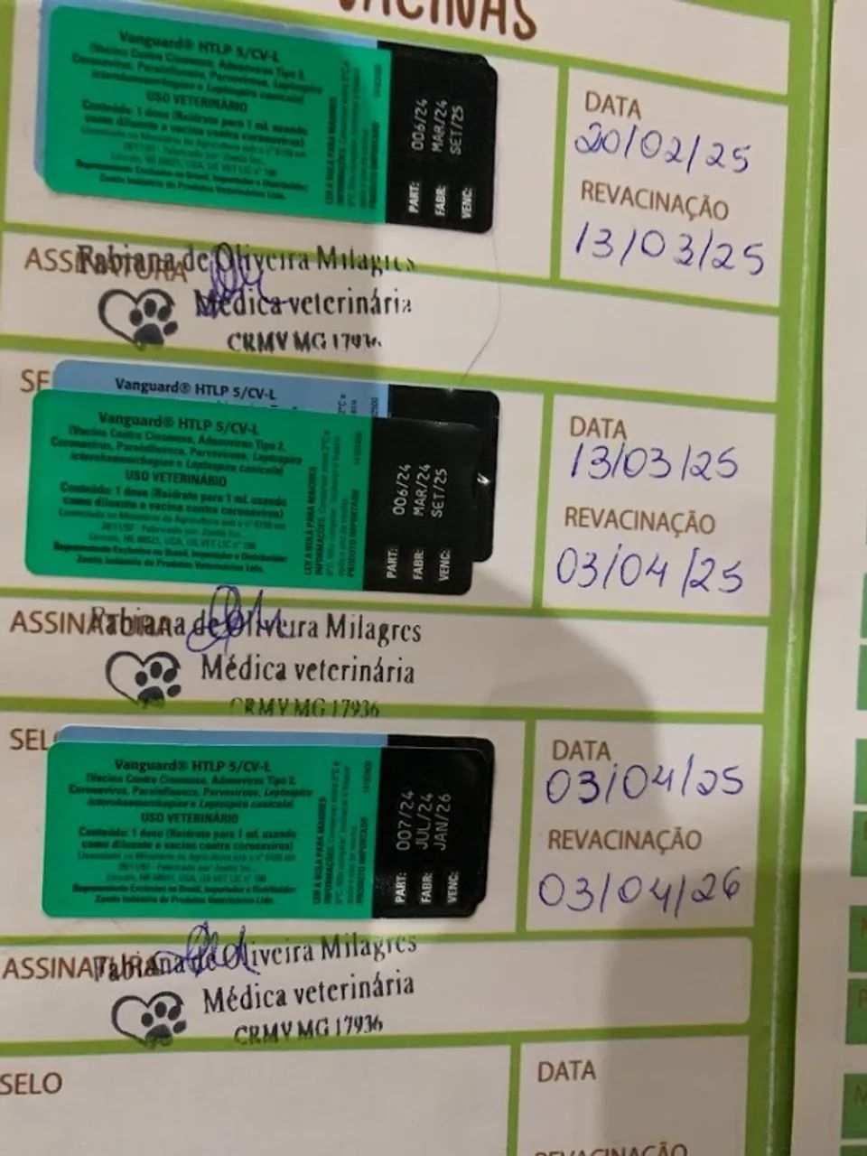 Doação de Pastor Alemão - Foto 2