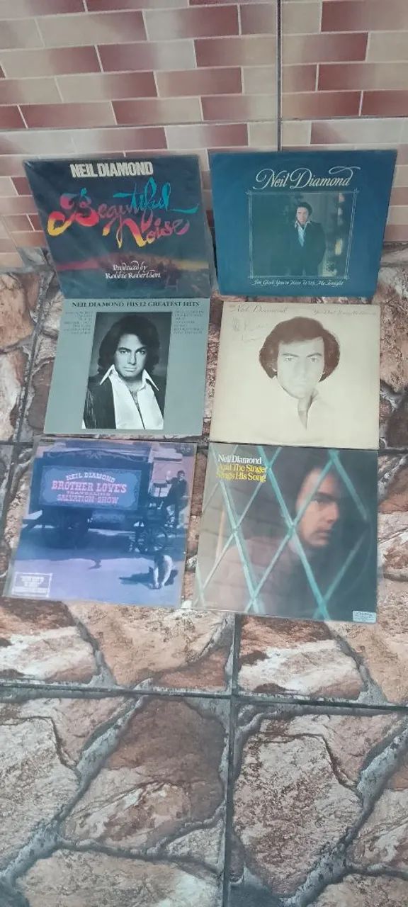 Lote de disco de vinil 