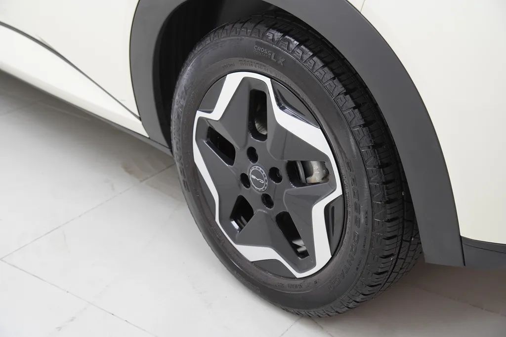 BYD Dolphin EV (Elétrico) 2024 - Foto 5