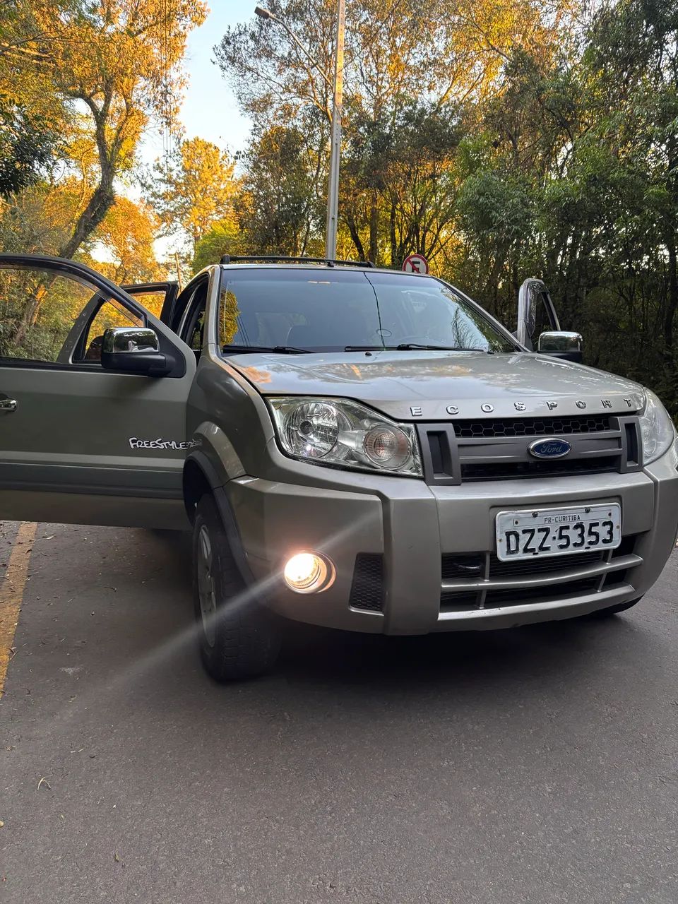 Ford Ecosport EcoSport XLT 1.6/ 1.6 Flex 8V 5p 2008