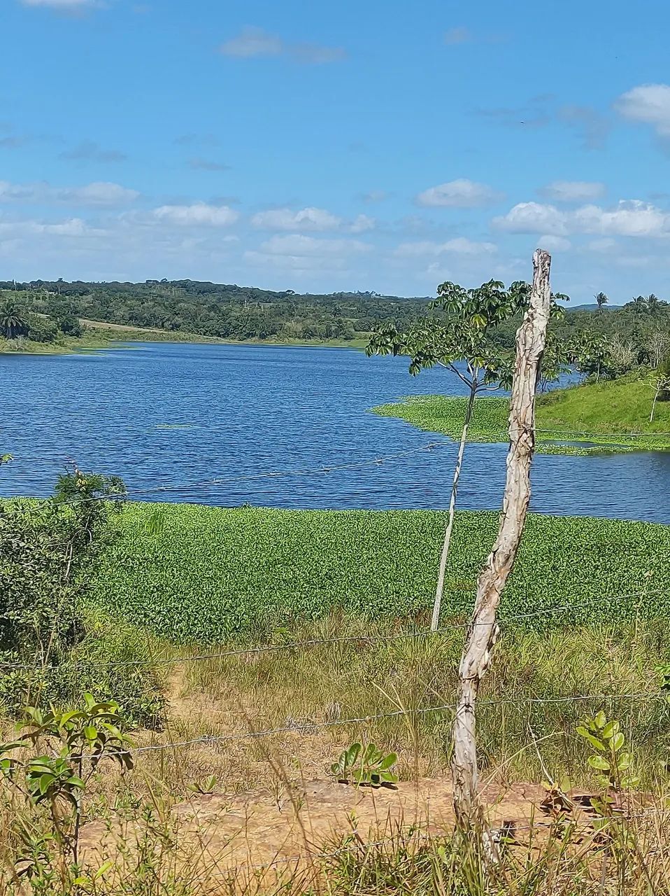 Venda de sitio  - Foto 3