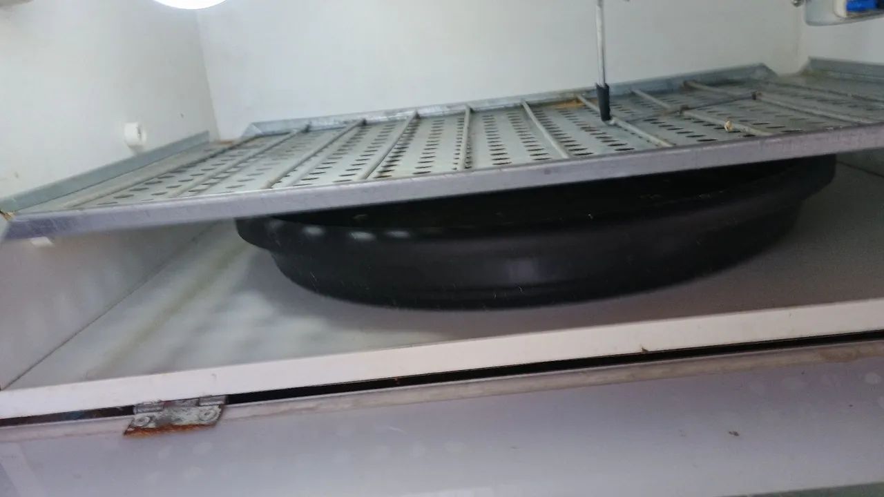 Chocadeira no precinho