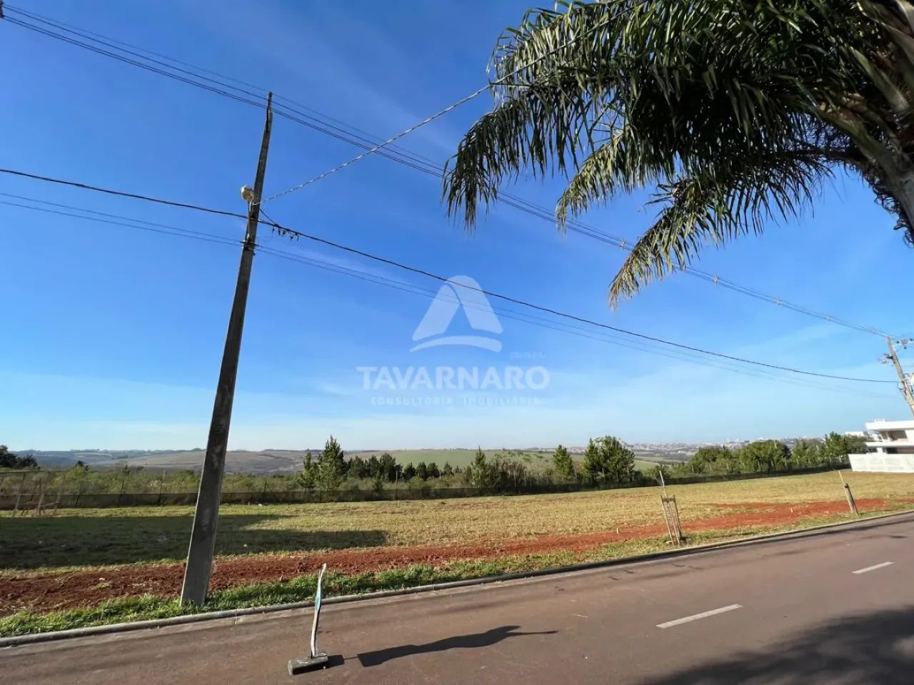 Terreno Condomínio em Ponta Grossa
