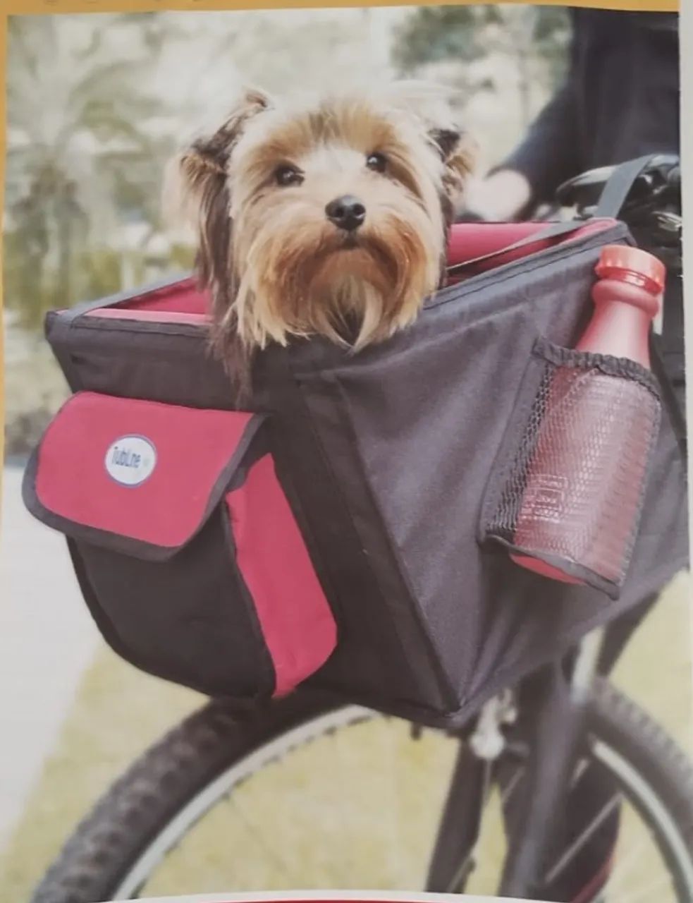 Assento Cadeira para Bicicleta Transbike Cães e Gatos