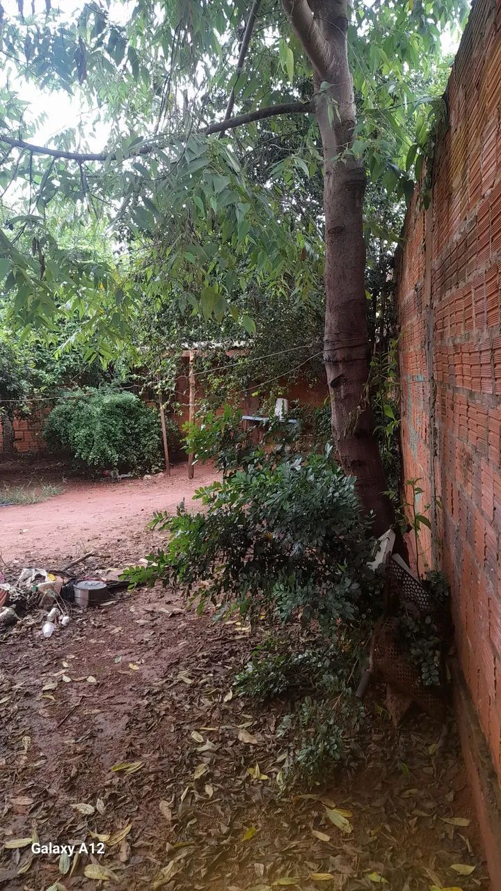 Casa jardim manaira - Foto 4