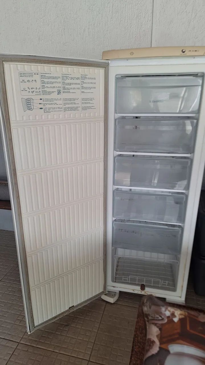 Freezer Electrolux - Foto 3