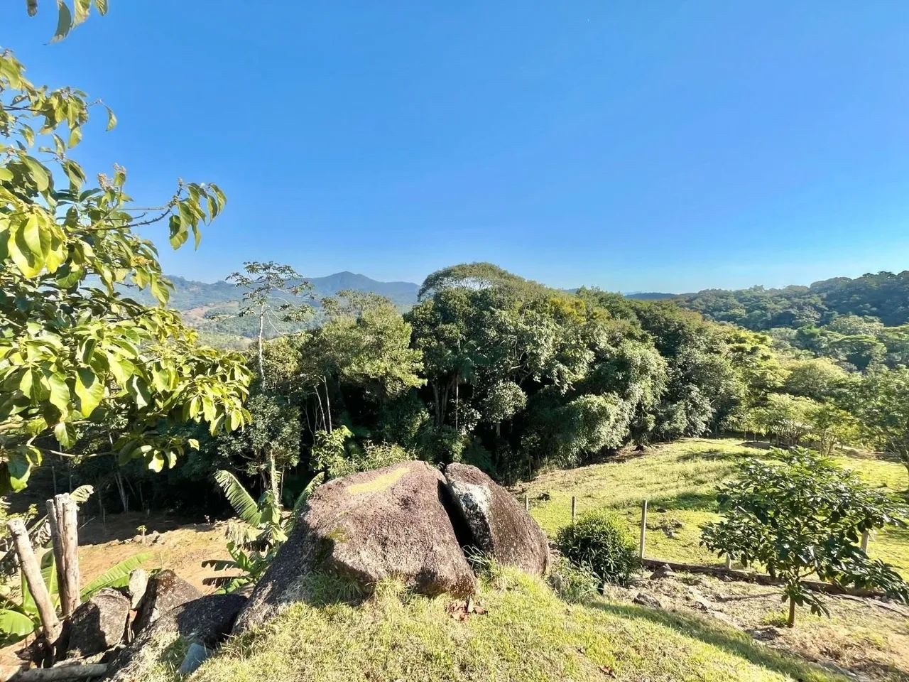 Sítio com 1 dormitório à venda, 4906 m² - Pagará - Santo Amaro da Imperatriz/SC - Foto 3