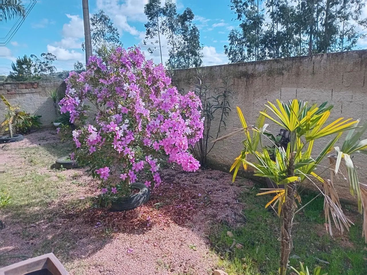 Vendo chácara pequena  - Foto 3