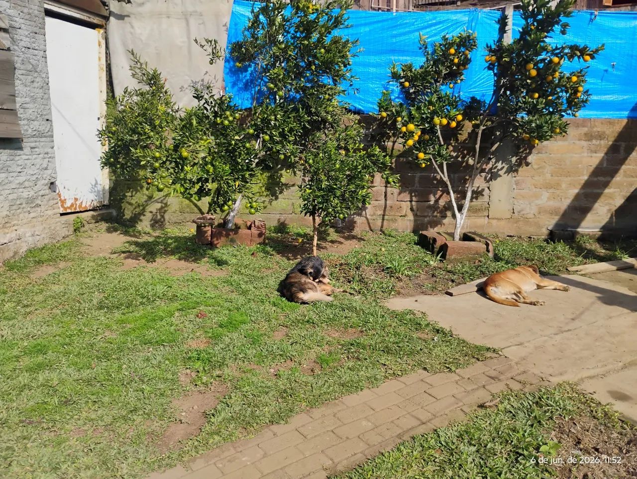 Terreno em Gramado rs  - Foto 2