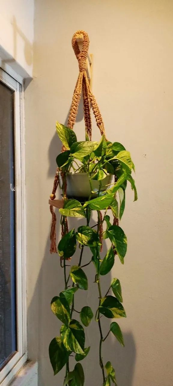 Suporte de plantas macramé 