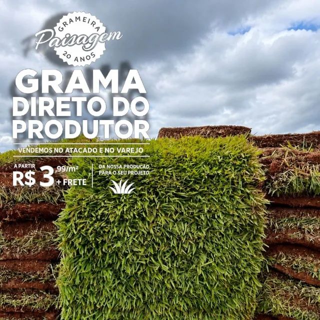 Grama Esmeralda