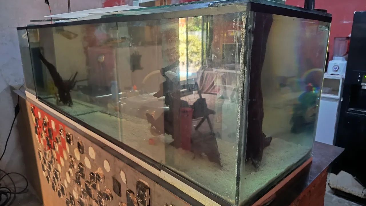 Aquário  - Foto 5