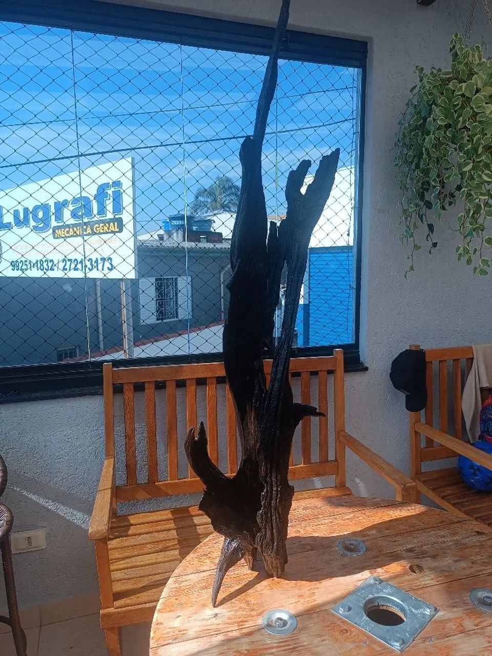 Tronco aroeira  - Foto 2