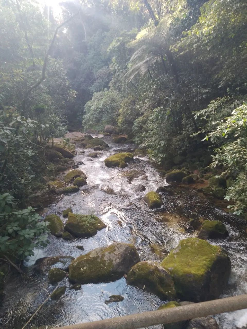 Vende se sitio - Foto 4
