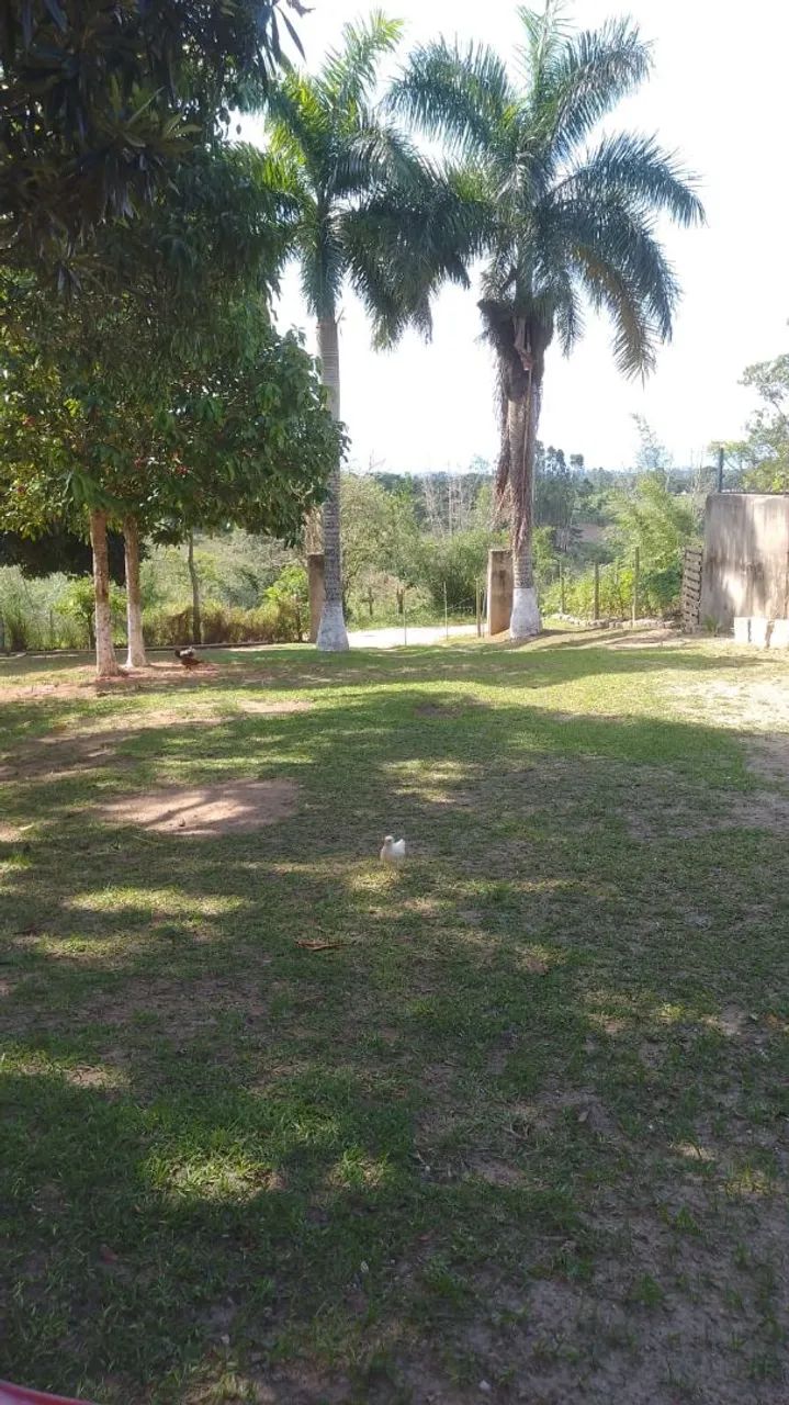 Foto - São Pedro da Aldeia - Vinhateiro