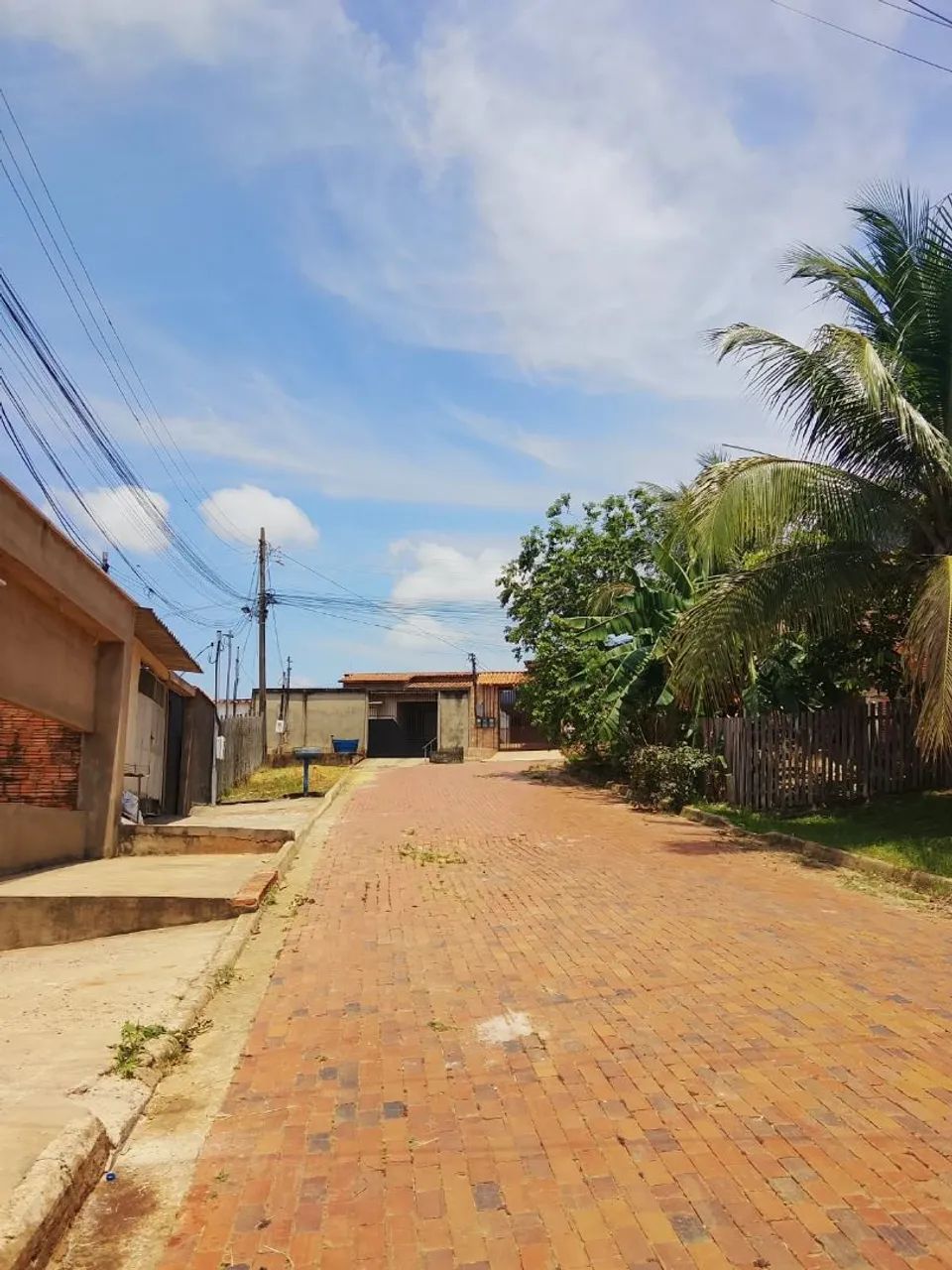 Terreno com casa  - Foto 5