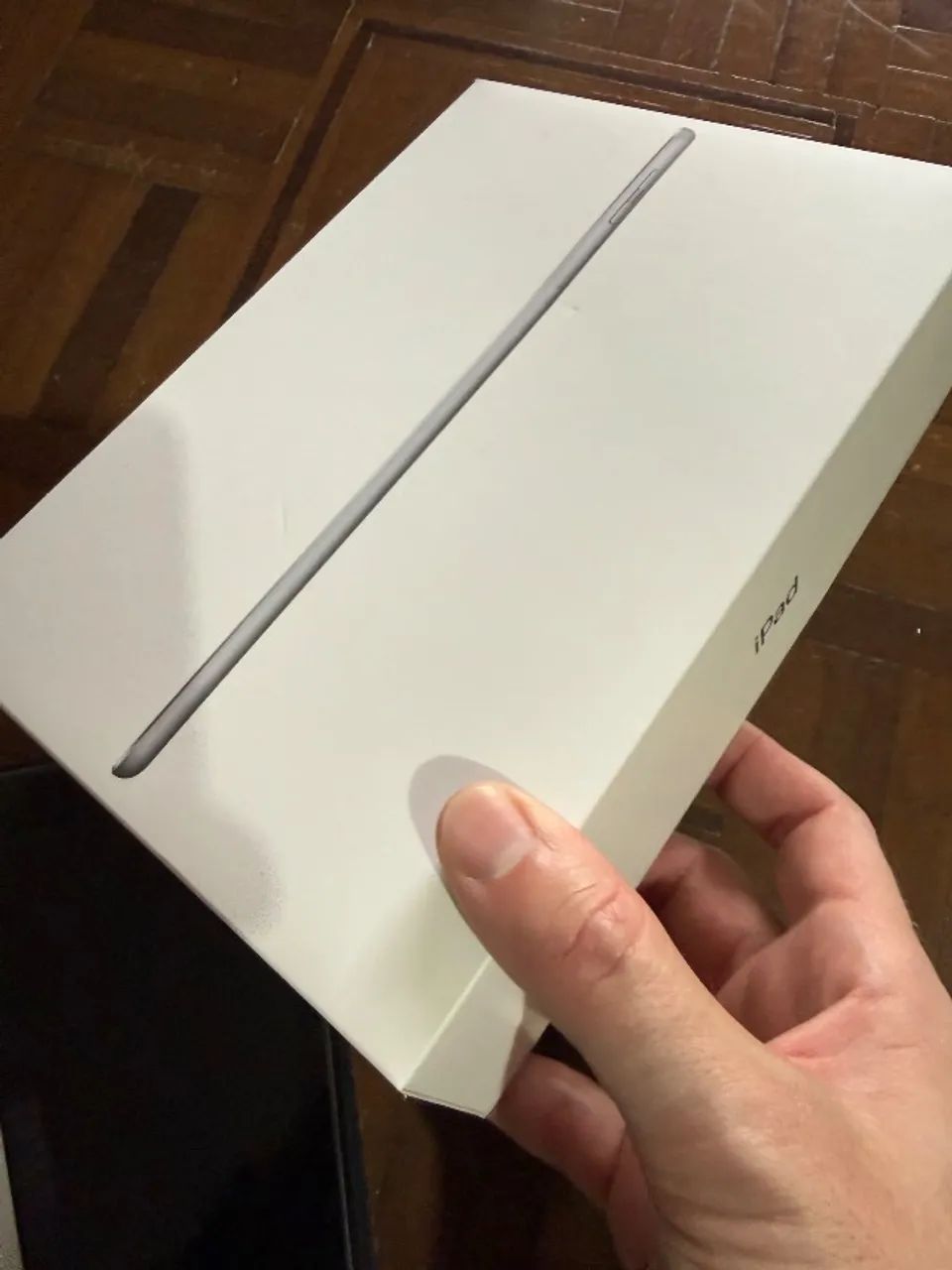 iPad + Apple Pencil