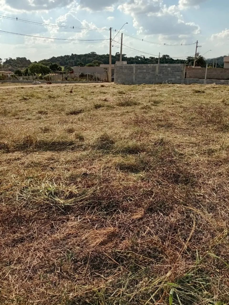 Foto - Mairinque - Mato Dentro