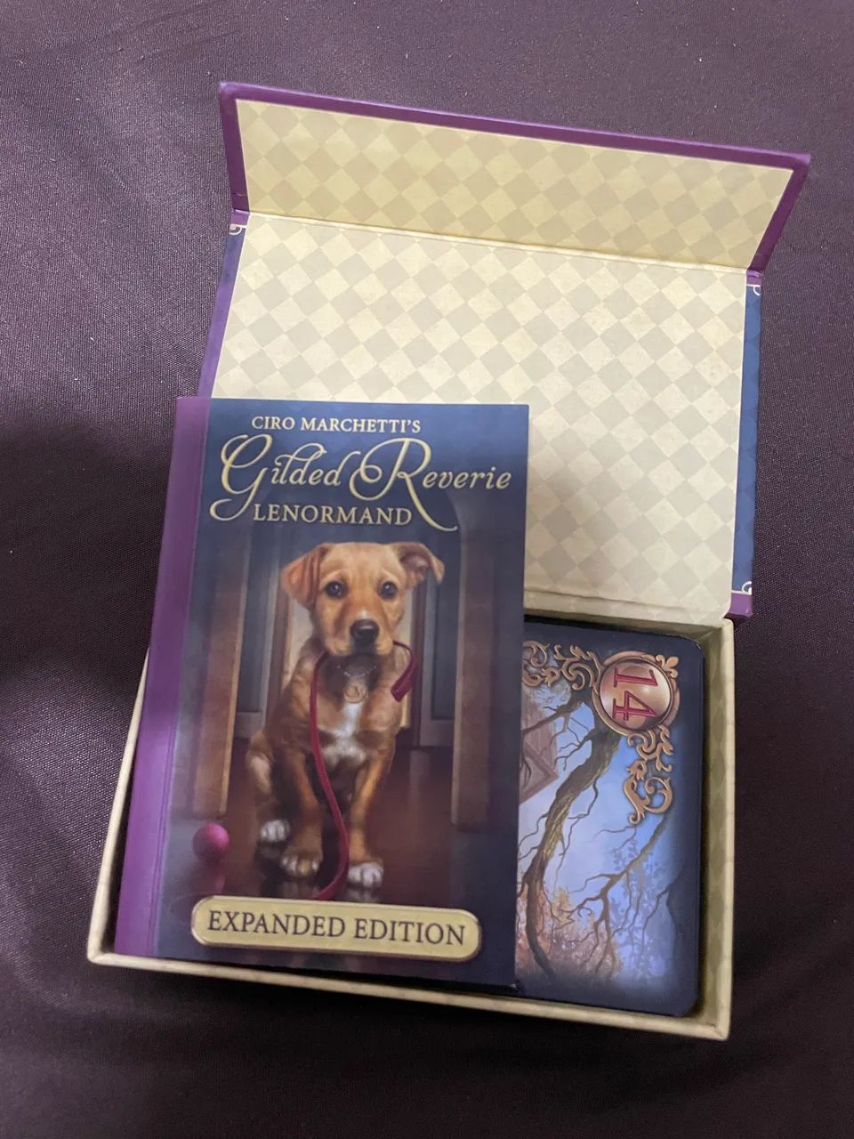 Ciro Marchetti Gilded Reverie Lenormand Baralho Cigano  - Foto 5