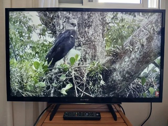 TV SONY 32 POLEGADAS TELA DE LED HD - Foto 5