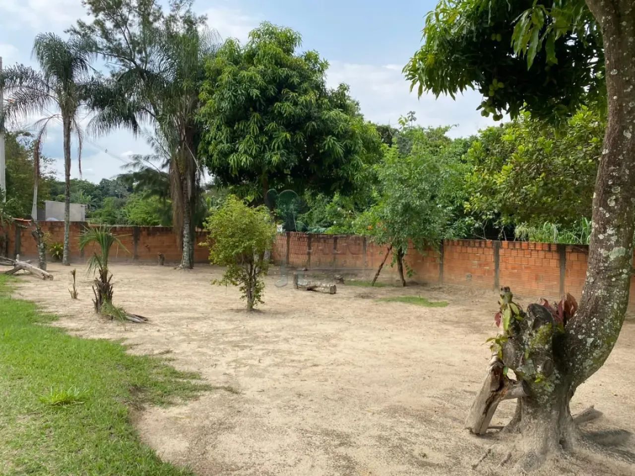 CHÁCARA LOCALIZADA EM CAJURU / BIG VALLEY - Foto 5
