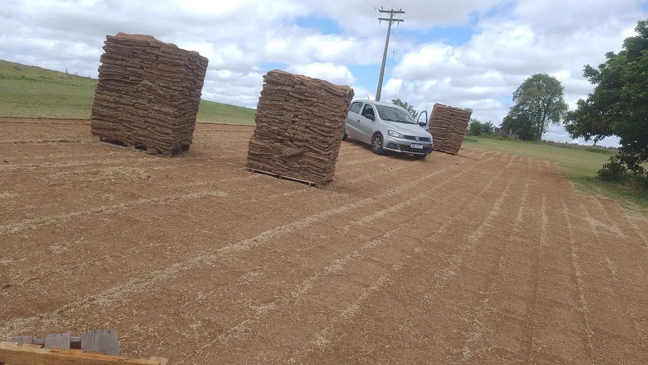 Gramas esmeralda  - Foto 5