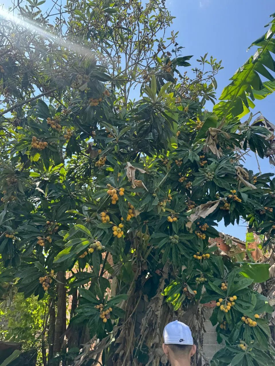 Vende-se ou troca Chacara em ibiuna  - Foto 2