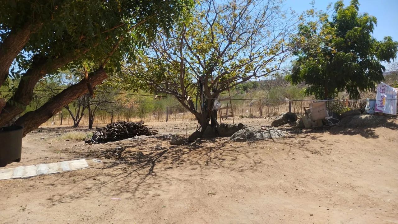 Roça com casa no Riacho do sobrado/BA - Foto 4