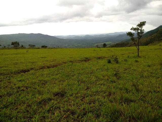 Fazenda 170 Alqueires Municipio Cocalzinho - Foto 8