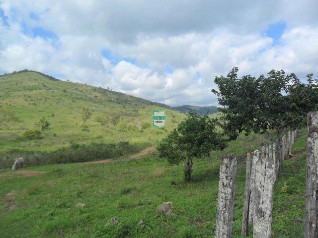 Fazenda Pecuária no Gongogi de 1.100 Hectares. Melhor custo beneficio - Foto 19