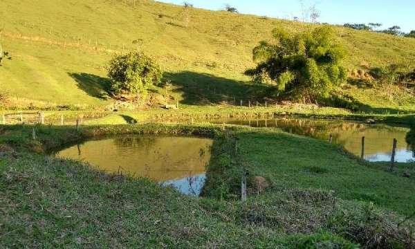 Belíssima fazenda em Cachoeiras de Macacu RJ 122 oportunidade!!! - Foto 11