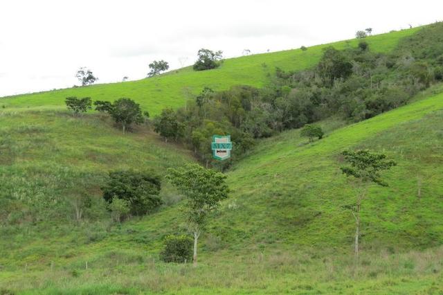 Fazenda Pecuária no Gongogi de 1.100 Hectares. Melhor custo beneficio - Foto 3