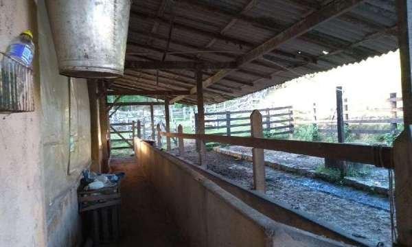 Belíssima fazenda em Cachoeiras de Macacu RJ 122 oportunidade!!! - Foto 17