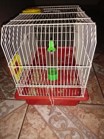 Gaiola