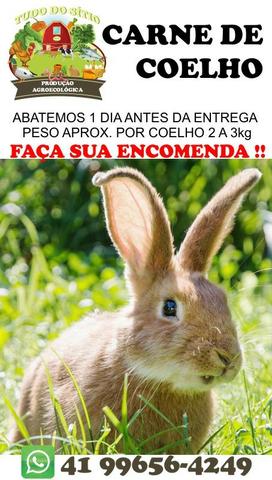 Ovos Galinha Caipira 8,50 duzia - Foto 2